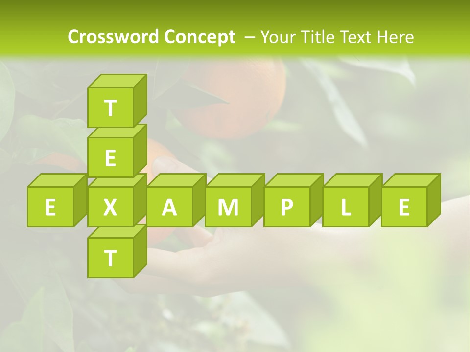 Magnolia Flowers PowerPoint Template