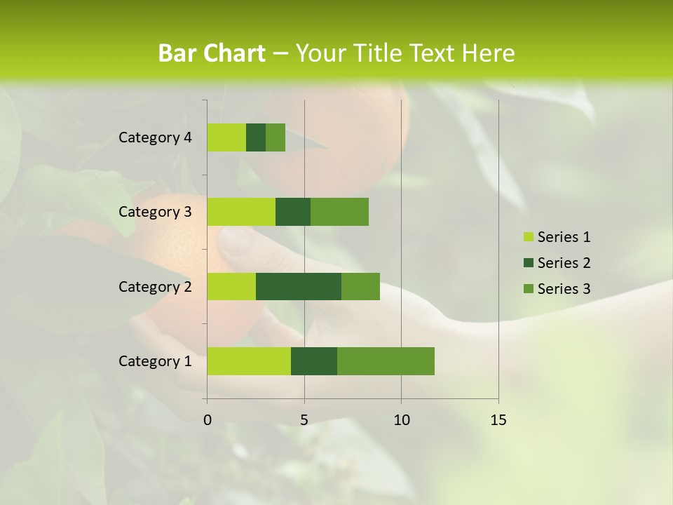 Magnolia Flowers PowerPoint Template