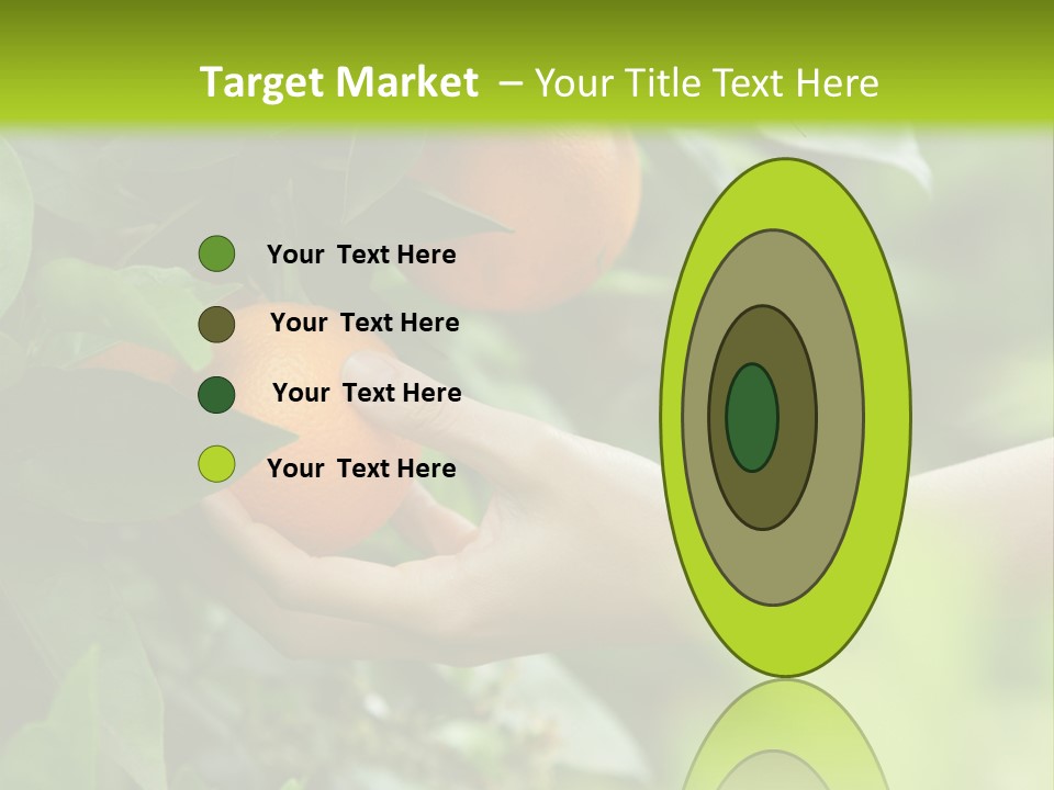 Magnolia Flowers PowerPoint Template