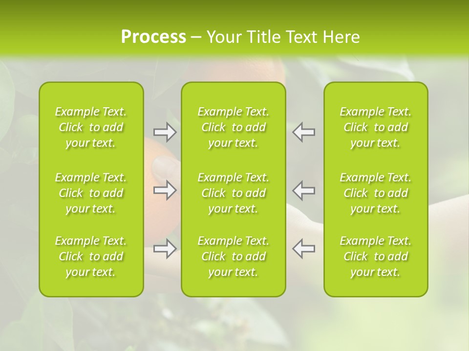 Magnolia Flowers PowerPoint Template
