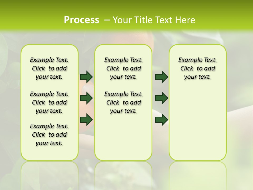 Magnolia Flowers PowerPoint Template