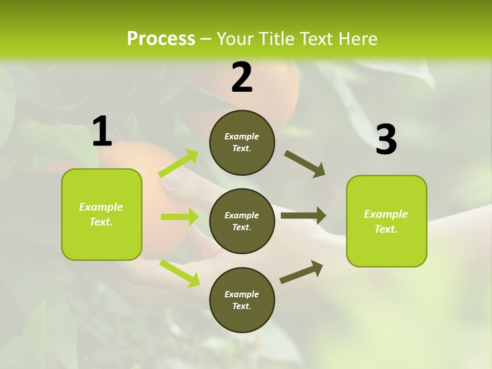 Magnolia Flowers PowerPoint Template