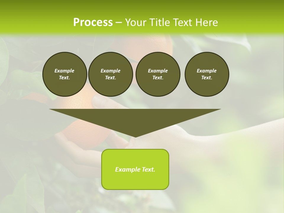 Magnolia Flowers PowerPoint Template