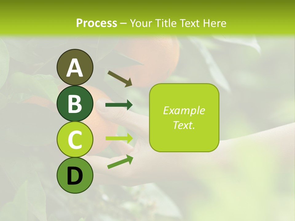 Magnolia Flowers PowerPoint Template