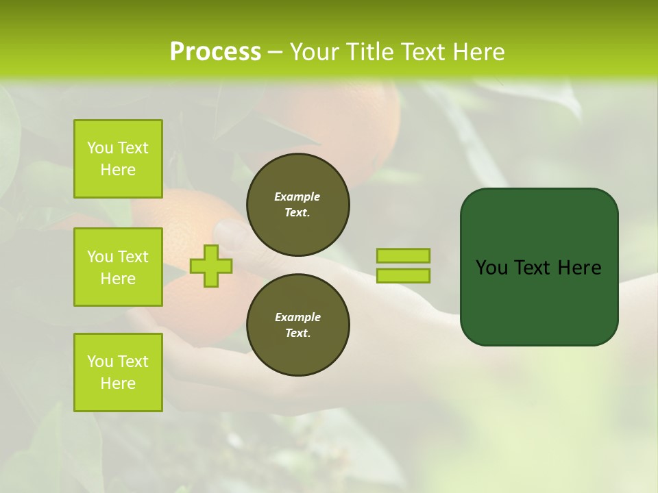 Magnolia Flowers PowerPoint Template