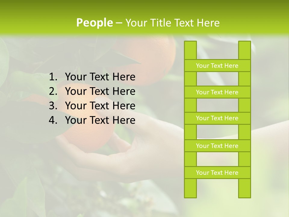 Magnolia Flowers PowerPoint Template