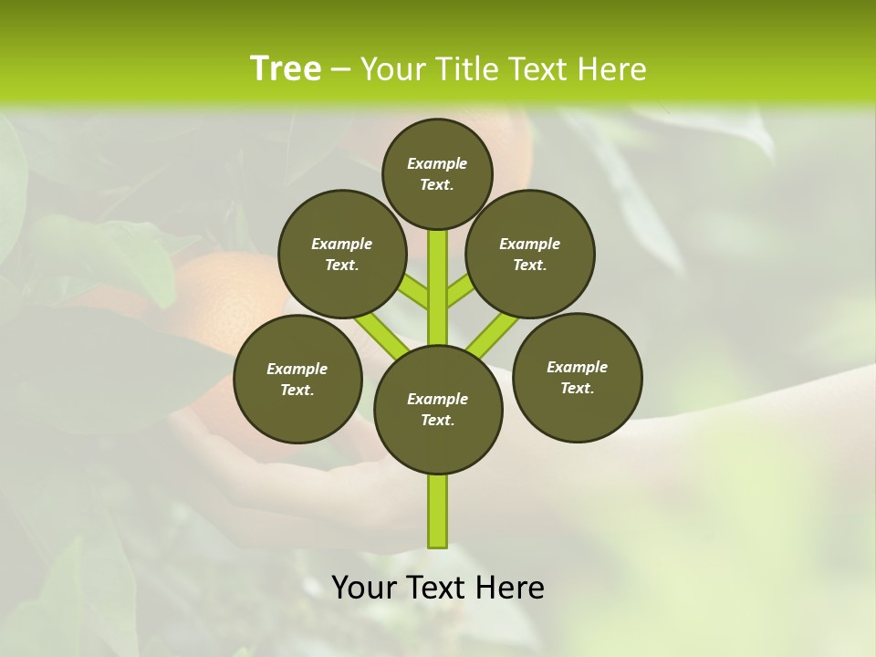 Magnolia Flowers PowerPoint Template