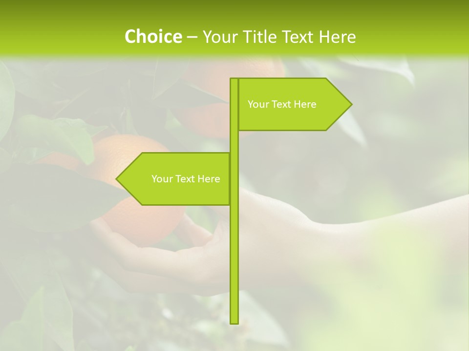 Magnolia Flowers PowerPoint Template