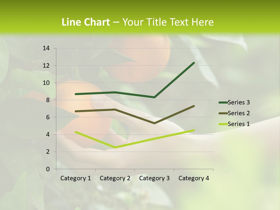 Magnolia Flowers PowerPoint Template