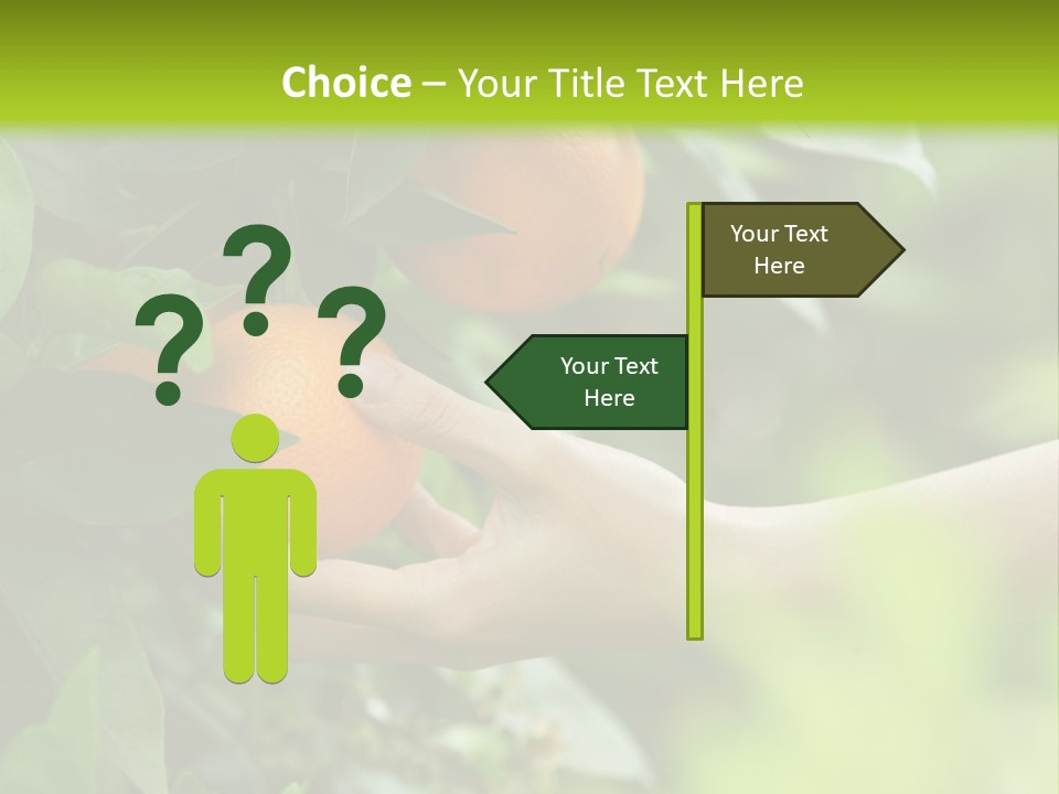 Magnolia Flowers PowerPoint Template