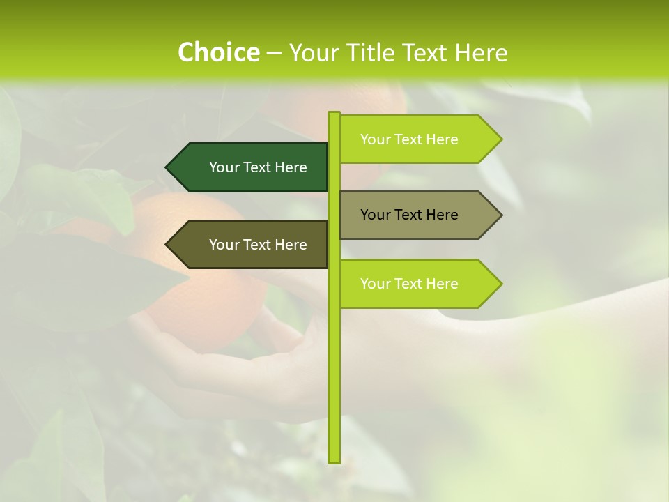 Magnolia Flowers PowerPoint Template