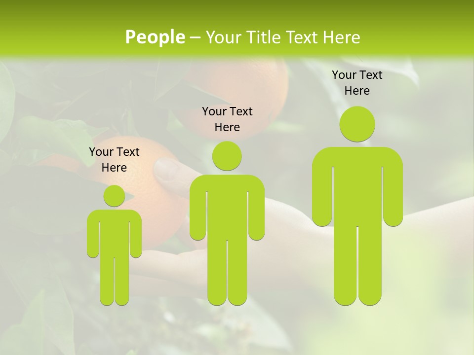 Magnolia Flowers PowerPoint Template