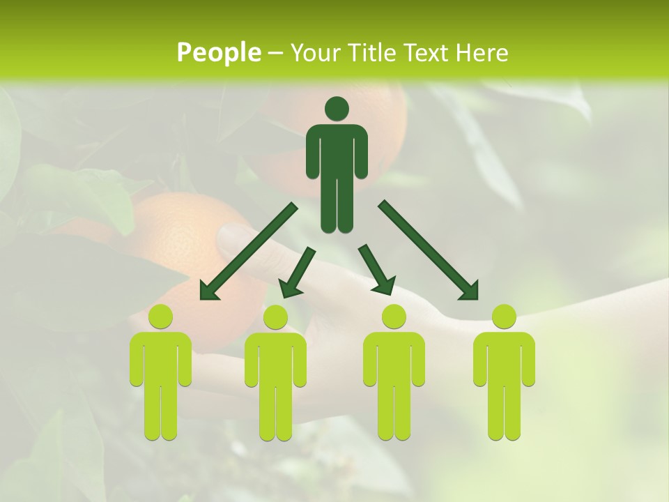 Magnolia Flowers PowerPoint Template