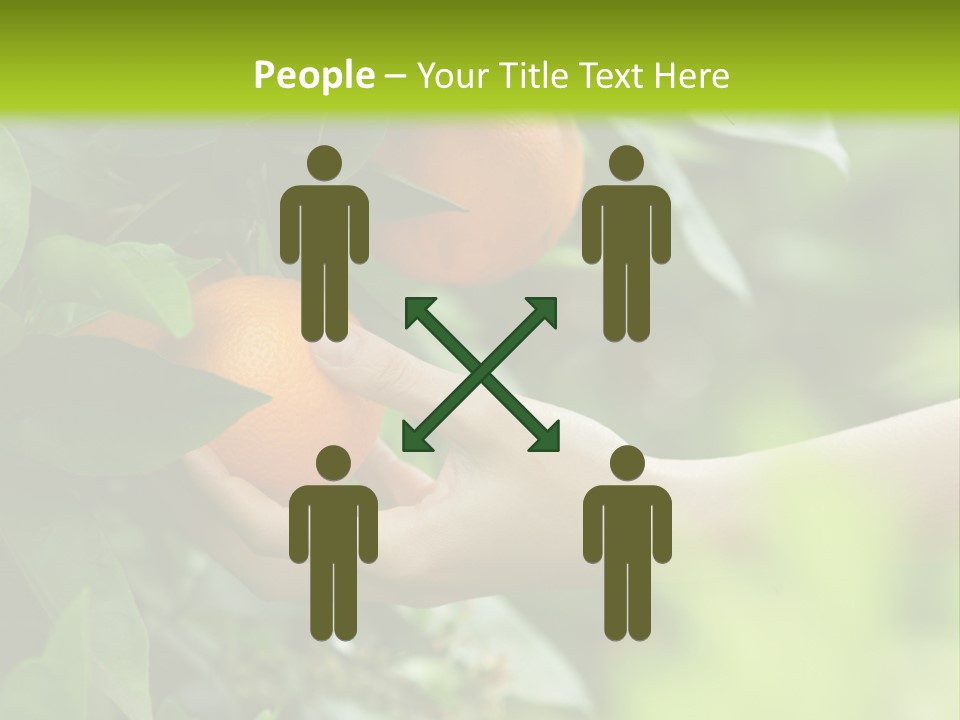 Magnolia Flowers PowerPoint Template