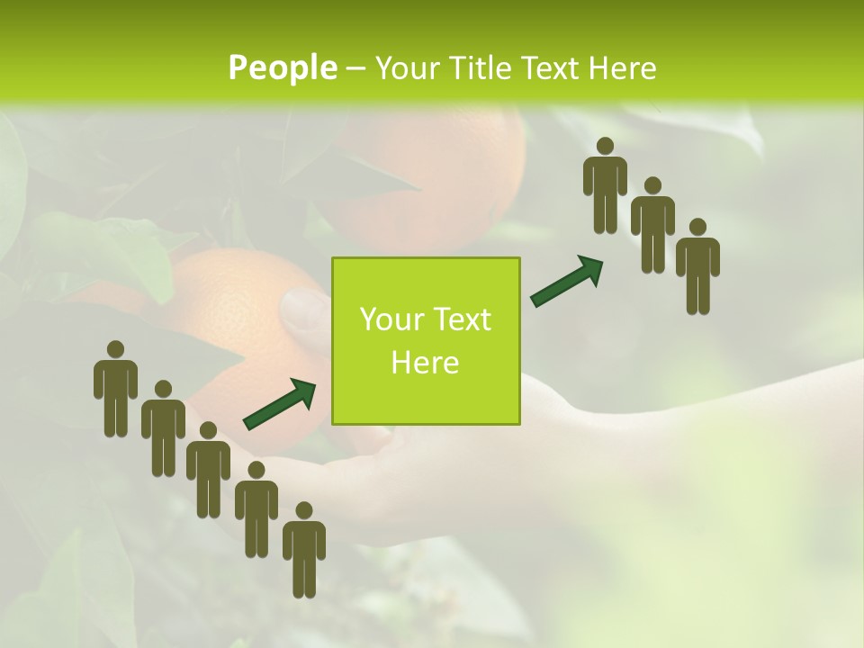 Magnolia Flowers PowerPoint Template