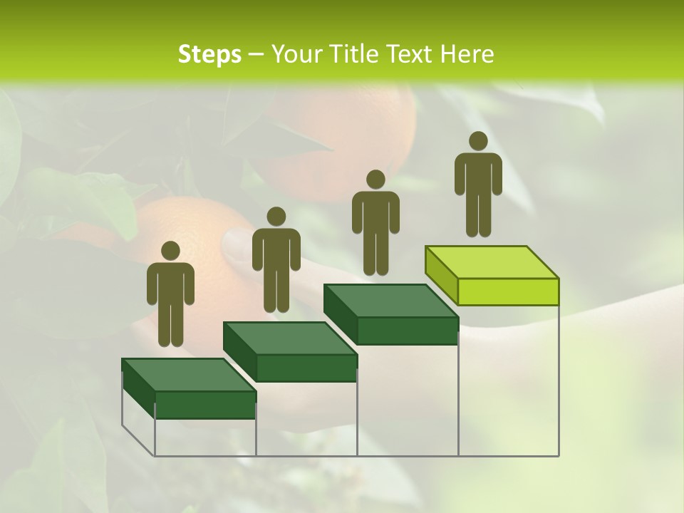 Magnolia Flowers PowerPoint Template