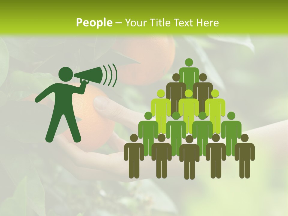 Magnolia Flowers PowerPoint Template