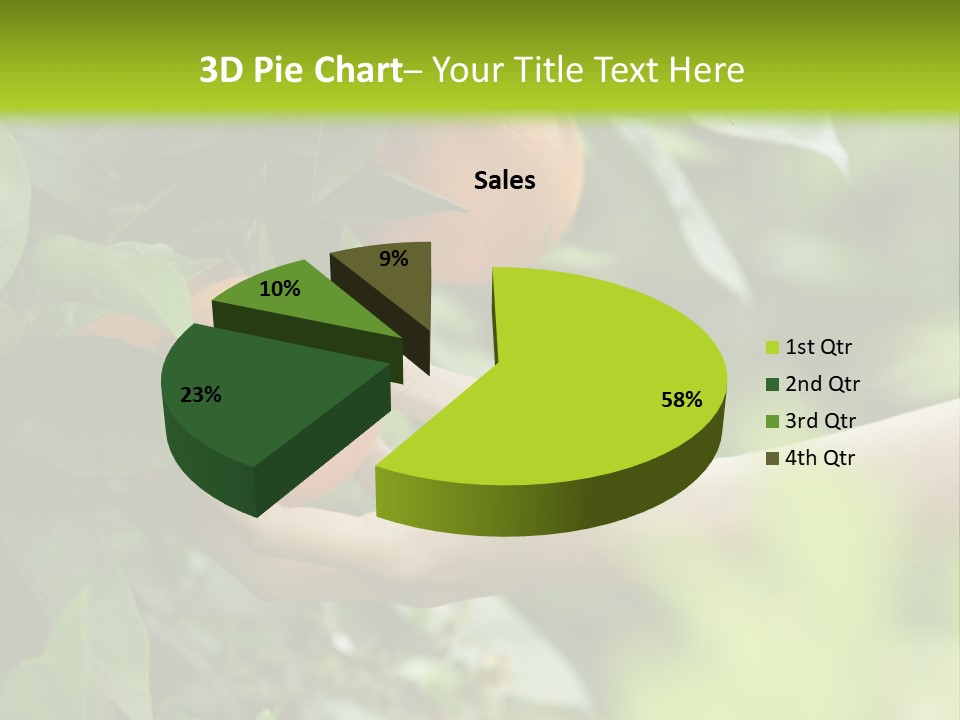 Magnolia Flowers PowerPoint Template