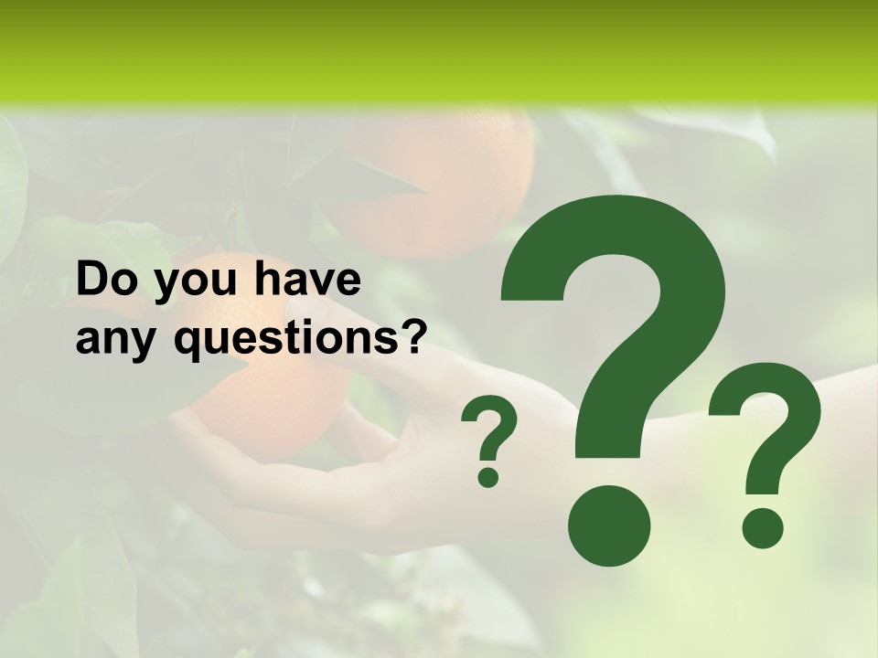 Magnolia Flowers PowerPoint Template