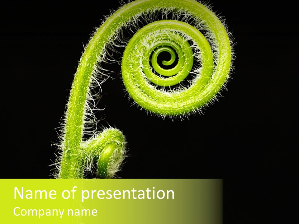 A Green Plant With A Black Background PowerPoint Template
