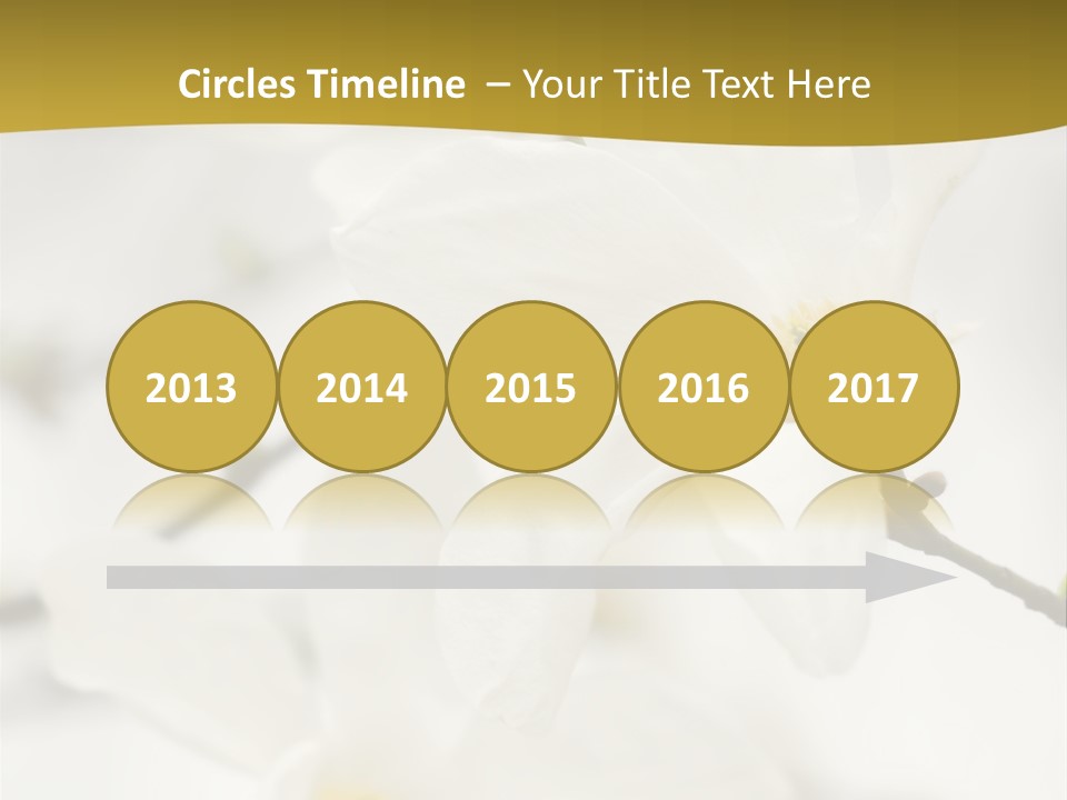 Magnolia Flowers PowerPoint Template