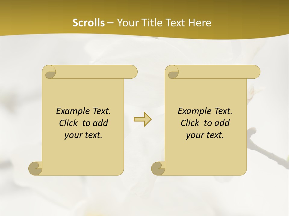 Magnolia Flowers PowerPoint Template