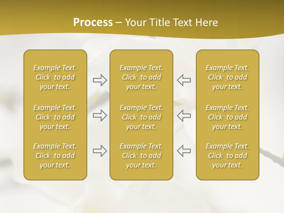 Magnolia Flowers PowerPoint Template
