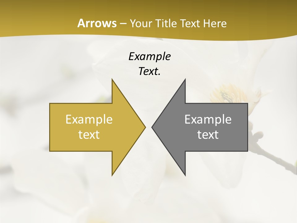 Magnolia Flowers PowerPoint Template