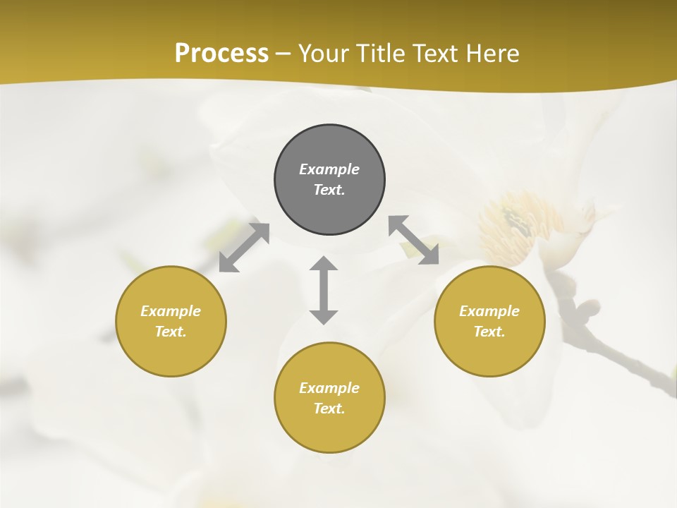 Magnolia Flowers PowerPoint Template