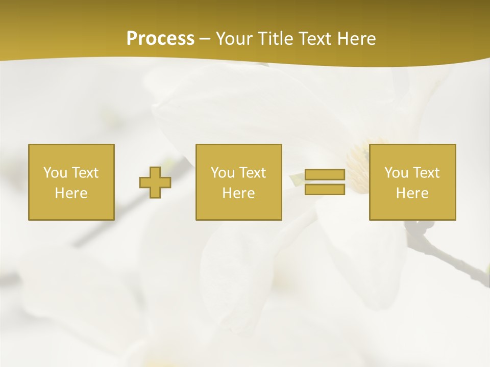 Magnolia Flowers PowerPoint Template