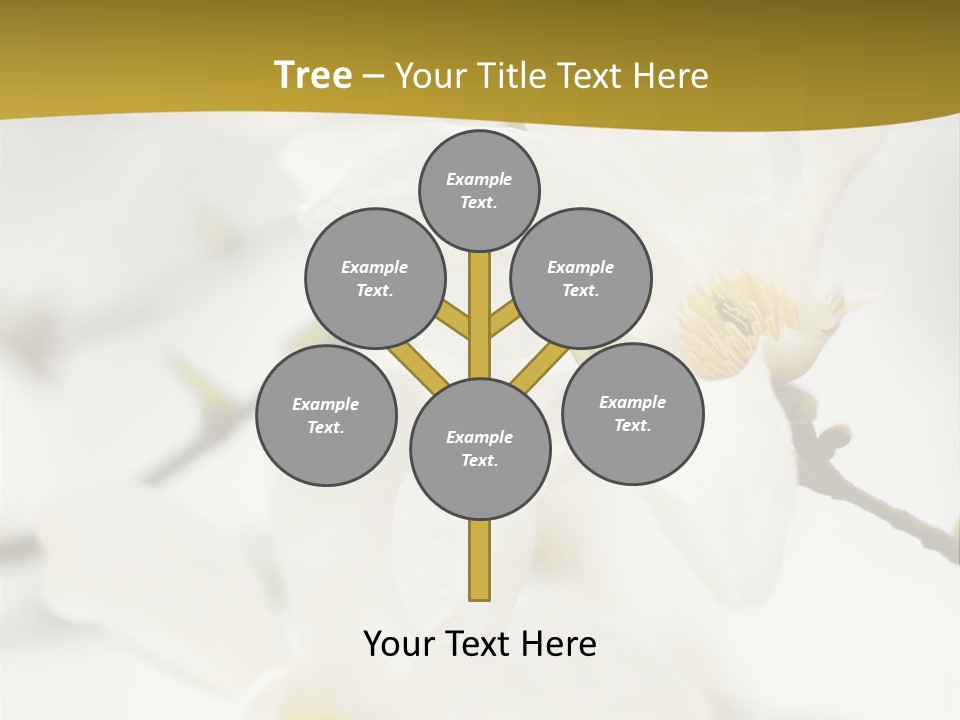 Magnolia Flowers PowerPoint Template