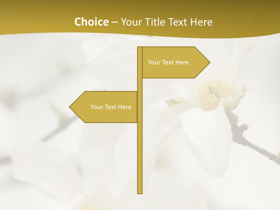 Magnolia Flowers PowerPoint Template