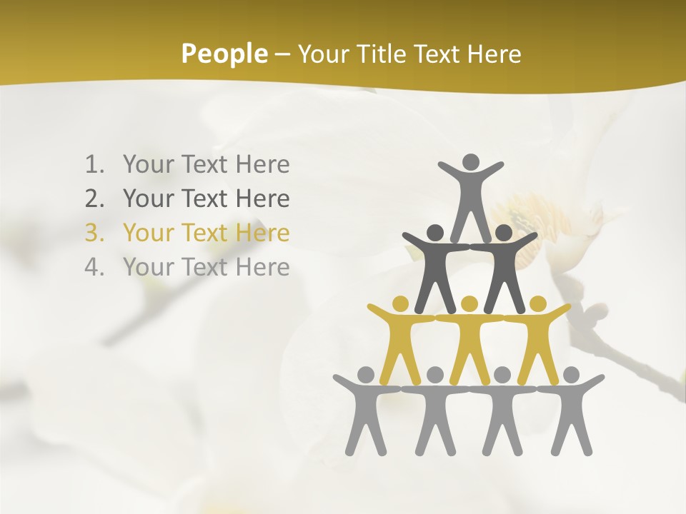 Magnolia Flowers PowerPoint Template