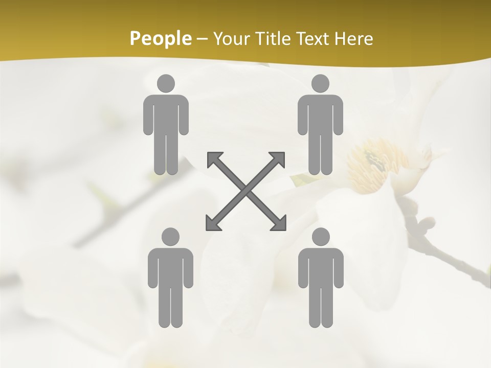 Magnolia Flowers PowerPoint Template