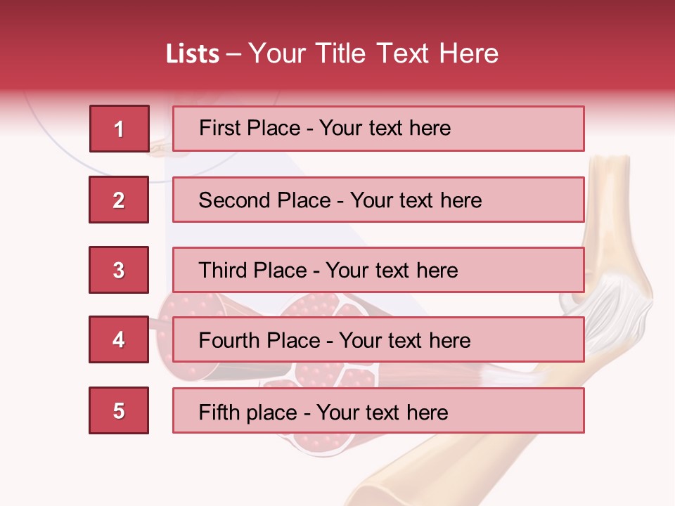 A Picture Of A Human Leg With Muscles Highlighted PowerPoint Template