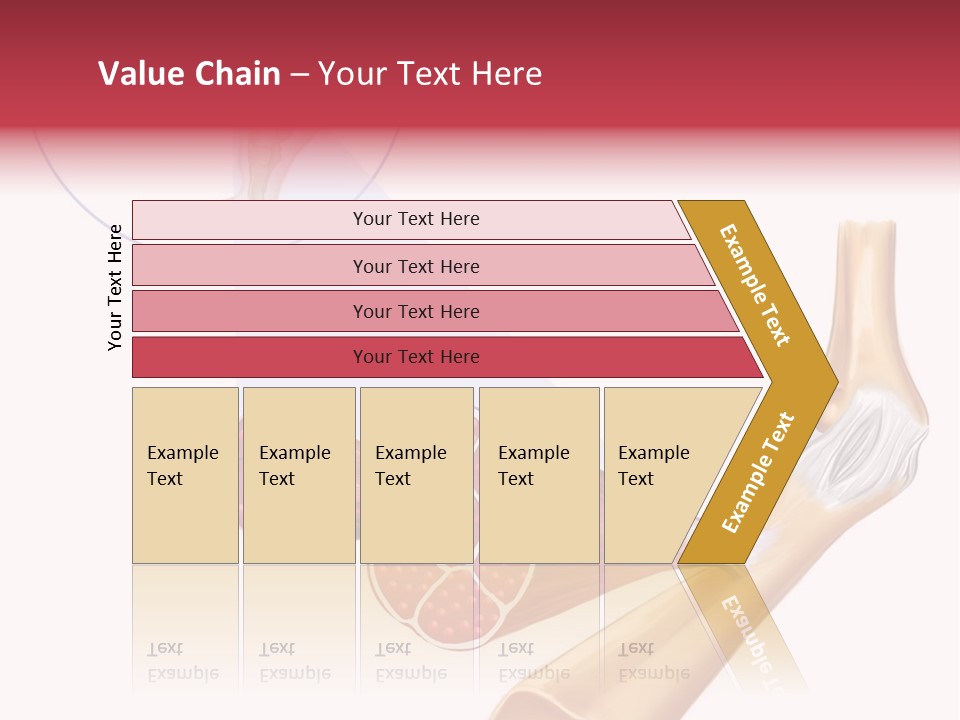 A Picture Of A Human Leg With Muscles Highlighted PowerPoint Template
