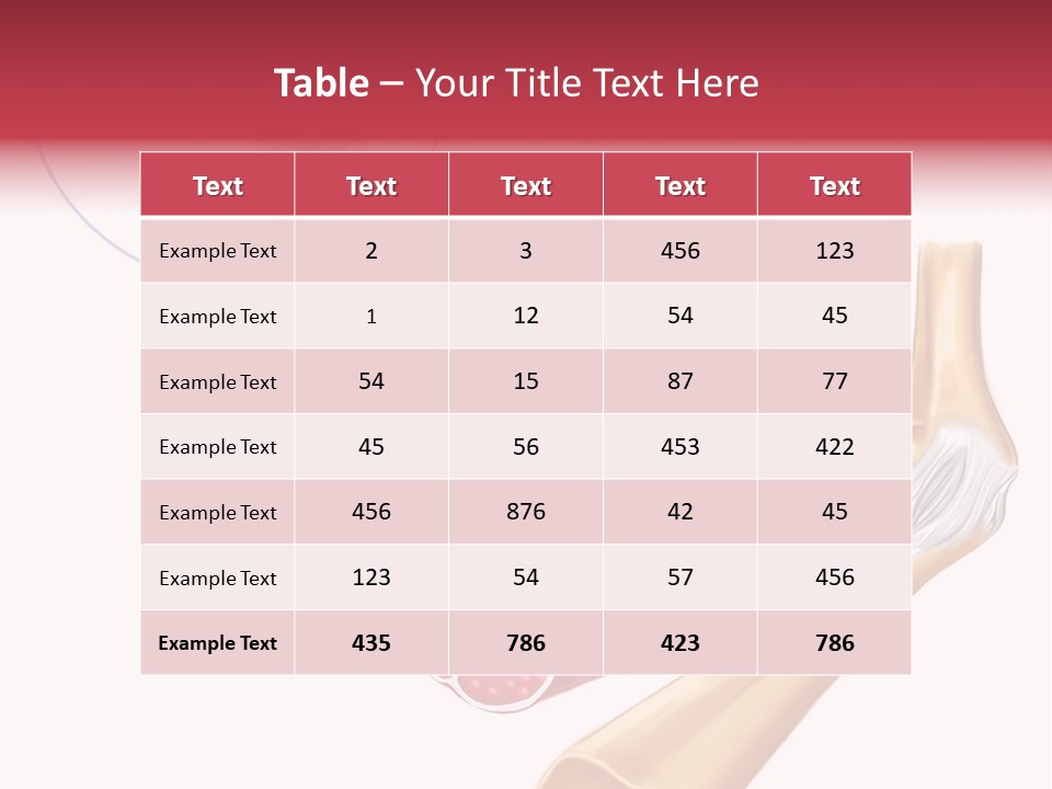 A Picture Of A Human Leg With Muscles Highlighted PowerPoint Template