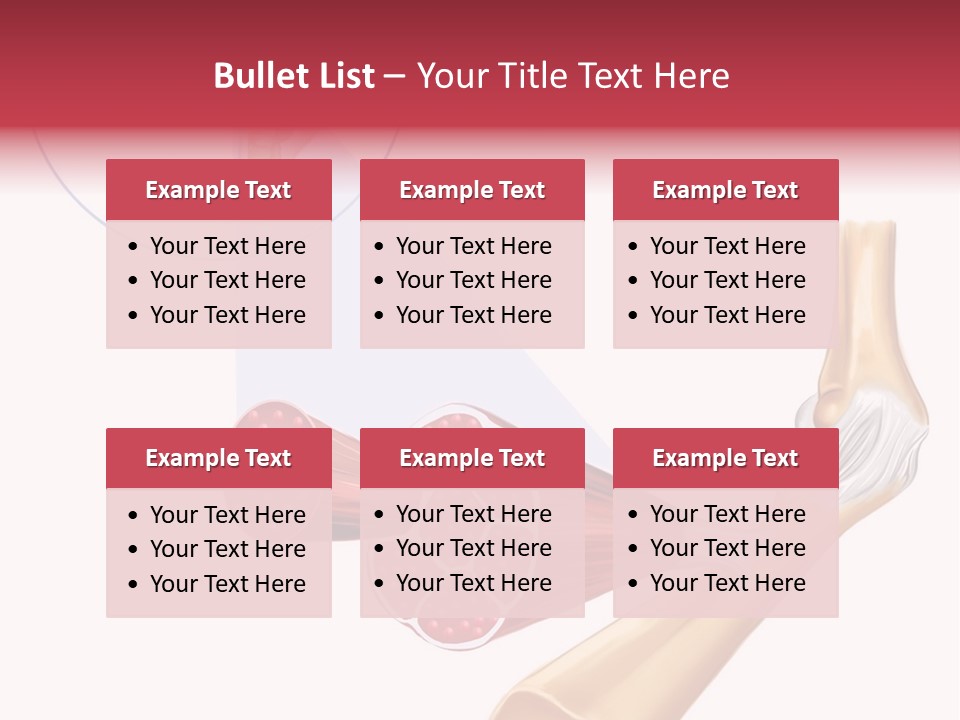 A Picture Of A Human Leg With Muscles Highlighted PowerPoint Template