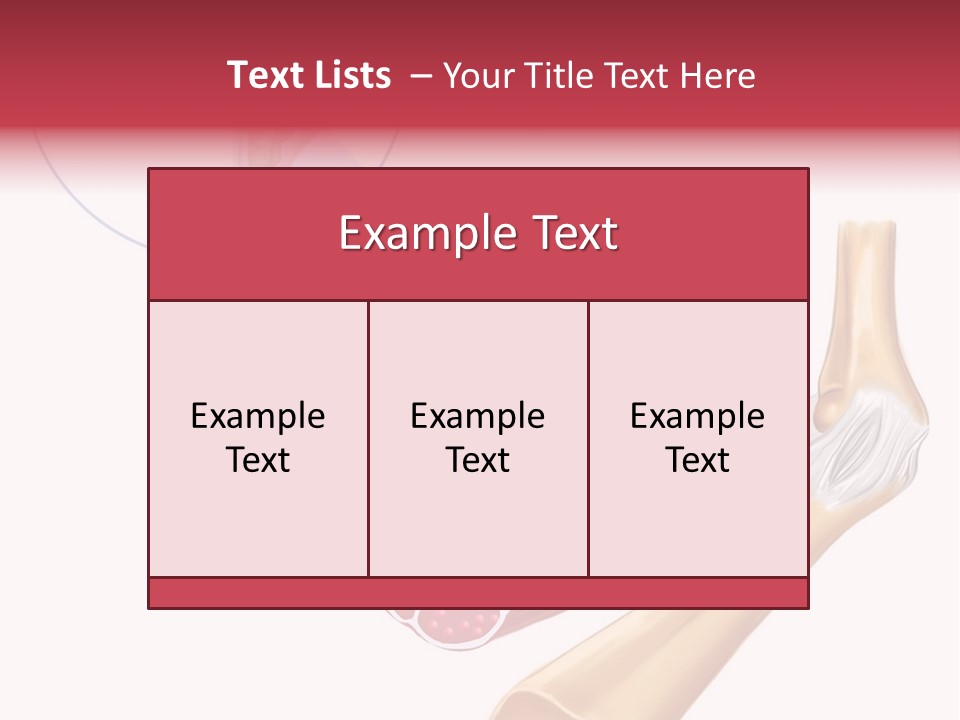 A Picture Of A Human Leg With Muscles Highlighted PowerPoint Template