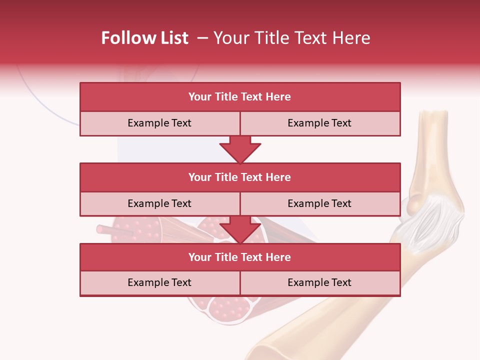 A Picture Of A Human Leg With Muscles Highlighted PowerPoint Template