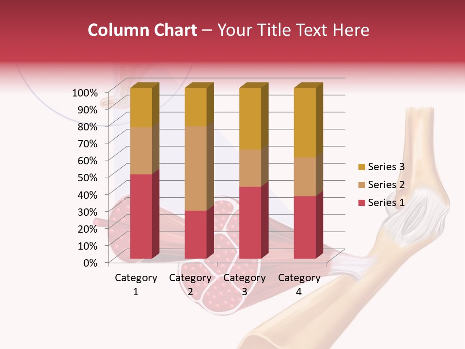 A Picture Of A Human Leg With Muscles Highlighted PowerPoint Template