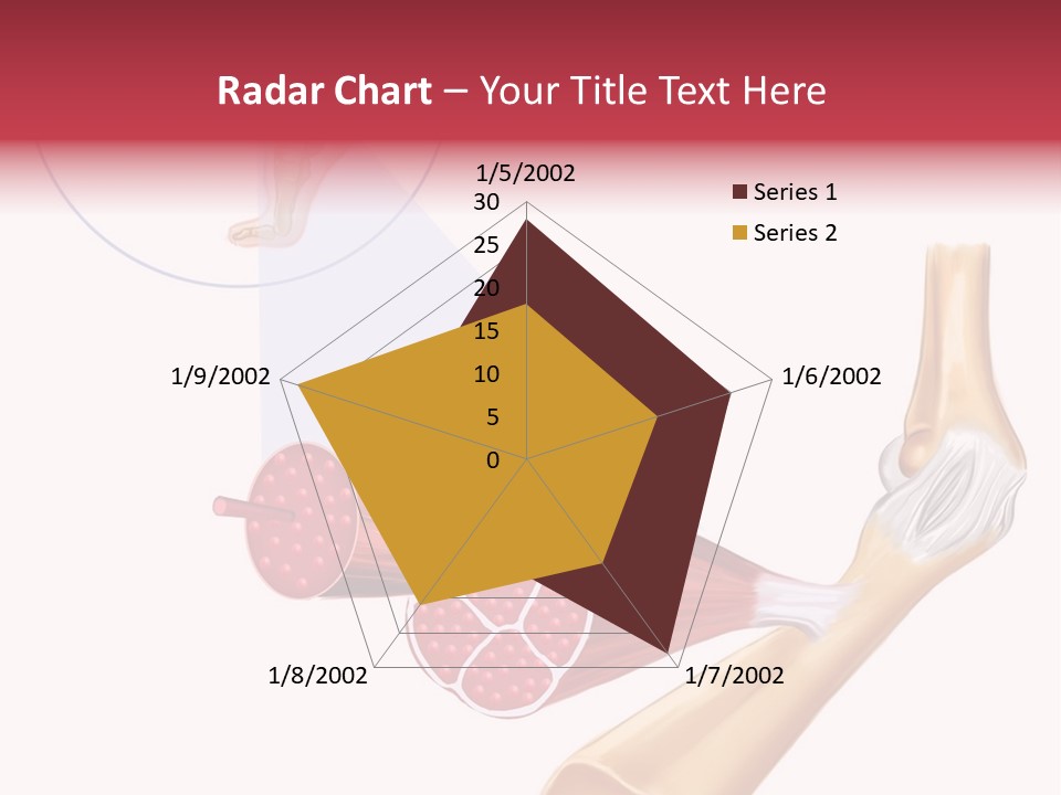 A Picture Of A Human Leg With Muscles Highlighted PowerPoint Template