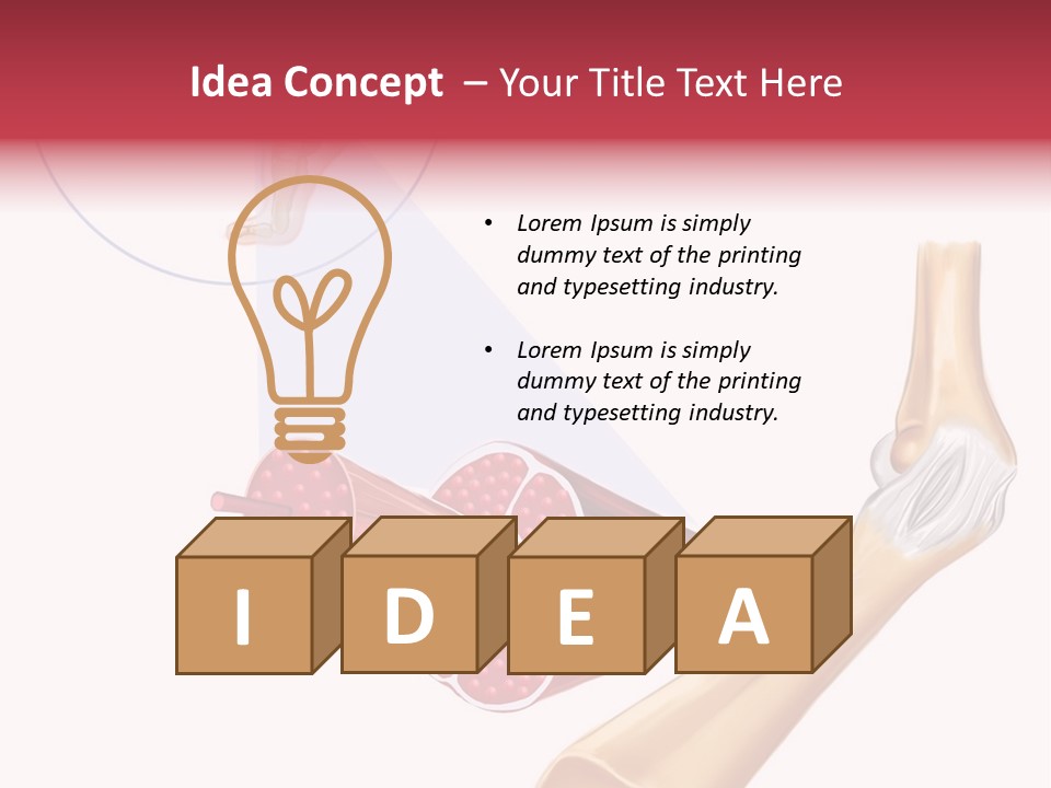 A Picture Of A Human Leg With Muscles Highlighted PowerPoint Template