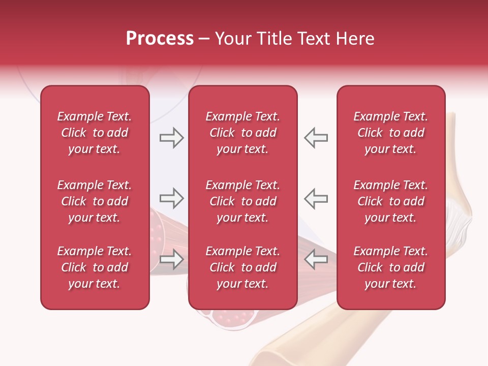 A Picture Of A Human Leg With Muscles Highlighted PowerPoint Template