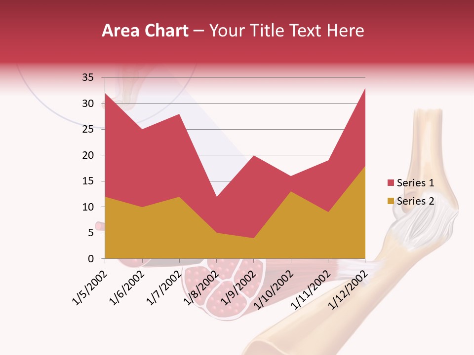 A Picture Of A Human Leg With Muscles Highlighted PowerPoint Template