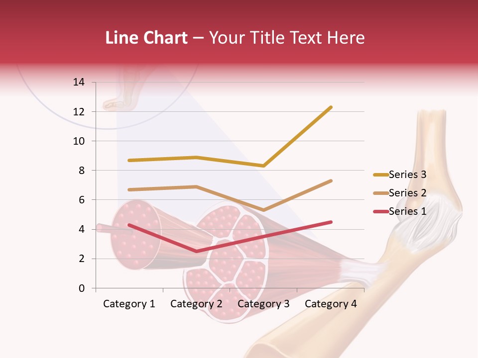 A Picture Of A Human Leg With Muscles Highlighted PowerPoint Template