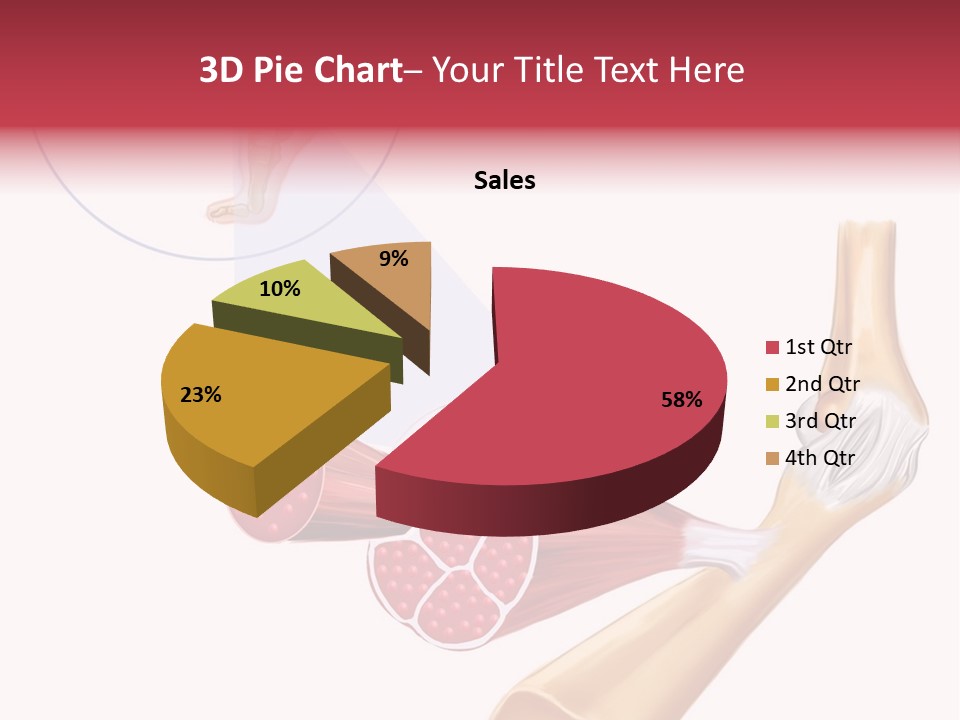 A Picture Of A Human Leg With Muscles Highlighted PowerPoint Template