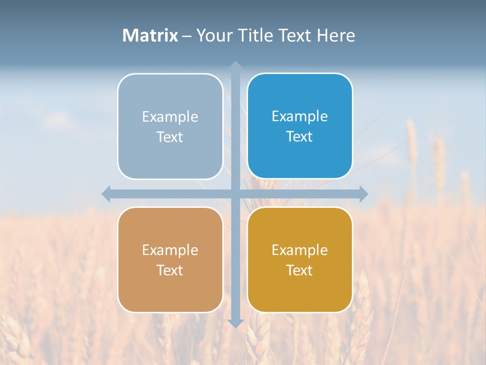 A Little Ear On A Background Of The Sky PowerPoint Template