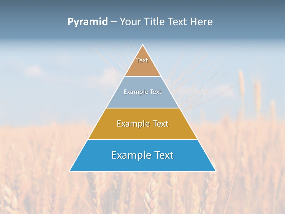 A Little Ear On A Background Of The Sky PowerPoint Template