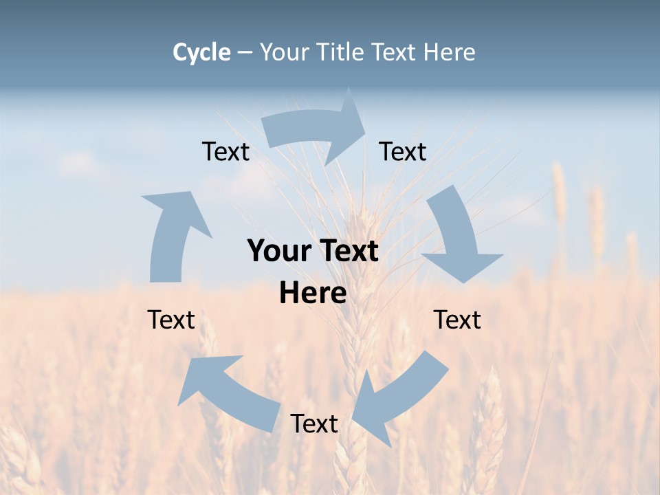 A Little Ear On A Background Of The Sky PowerPoint Template
